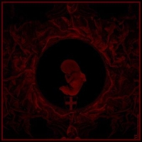 VI - De Praestigiis Daemonum